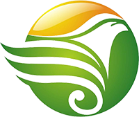 藝瓊網(wǎng)絡(luò)