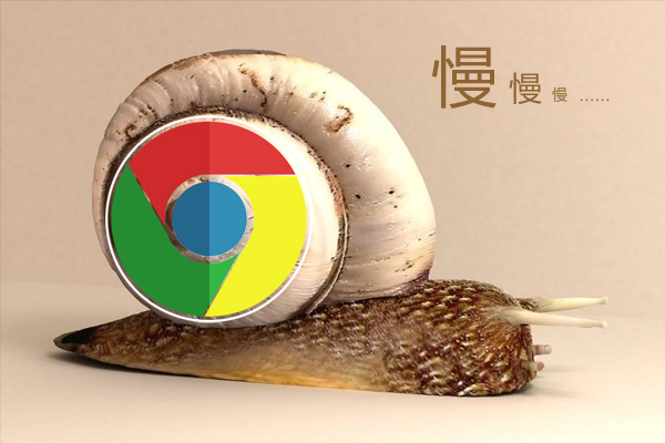 網(wǎng)站打開速度很慢