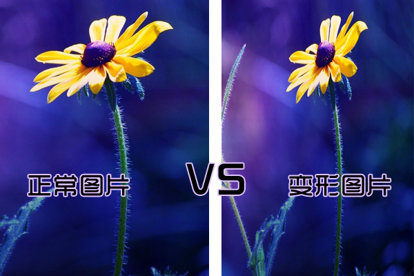 圖片變形